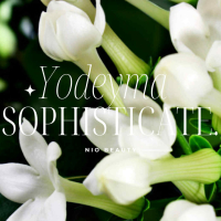 Sophisticate Damesparfum Yodeyma 50 Ml